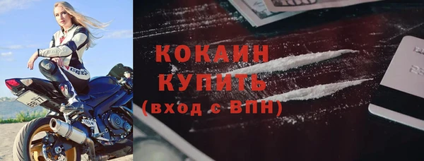 дживик Кулебаки