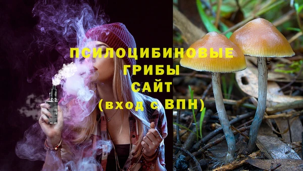 ALPHA PVP Куйбышев
