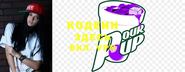 дживик Кулебаки