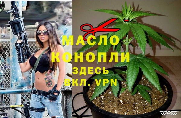 ALPHA PVP Куйбышев