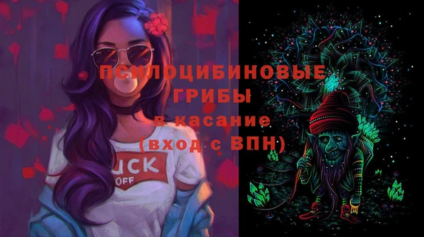 ALPHA PVP Куйбышев