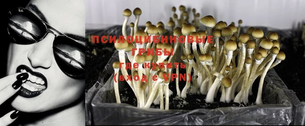 дживик Кулебаки