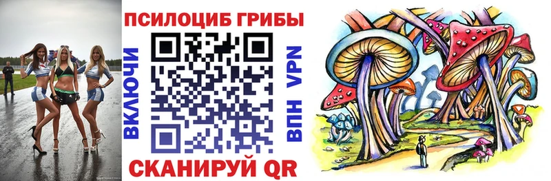 закладки  Чадан  Галлюциногенные грибы мицелий 